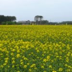 自然体験ランド 自然苑