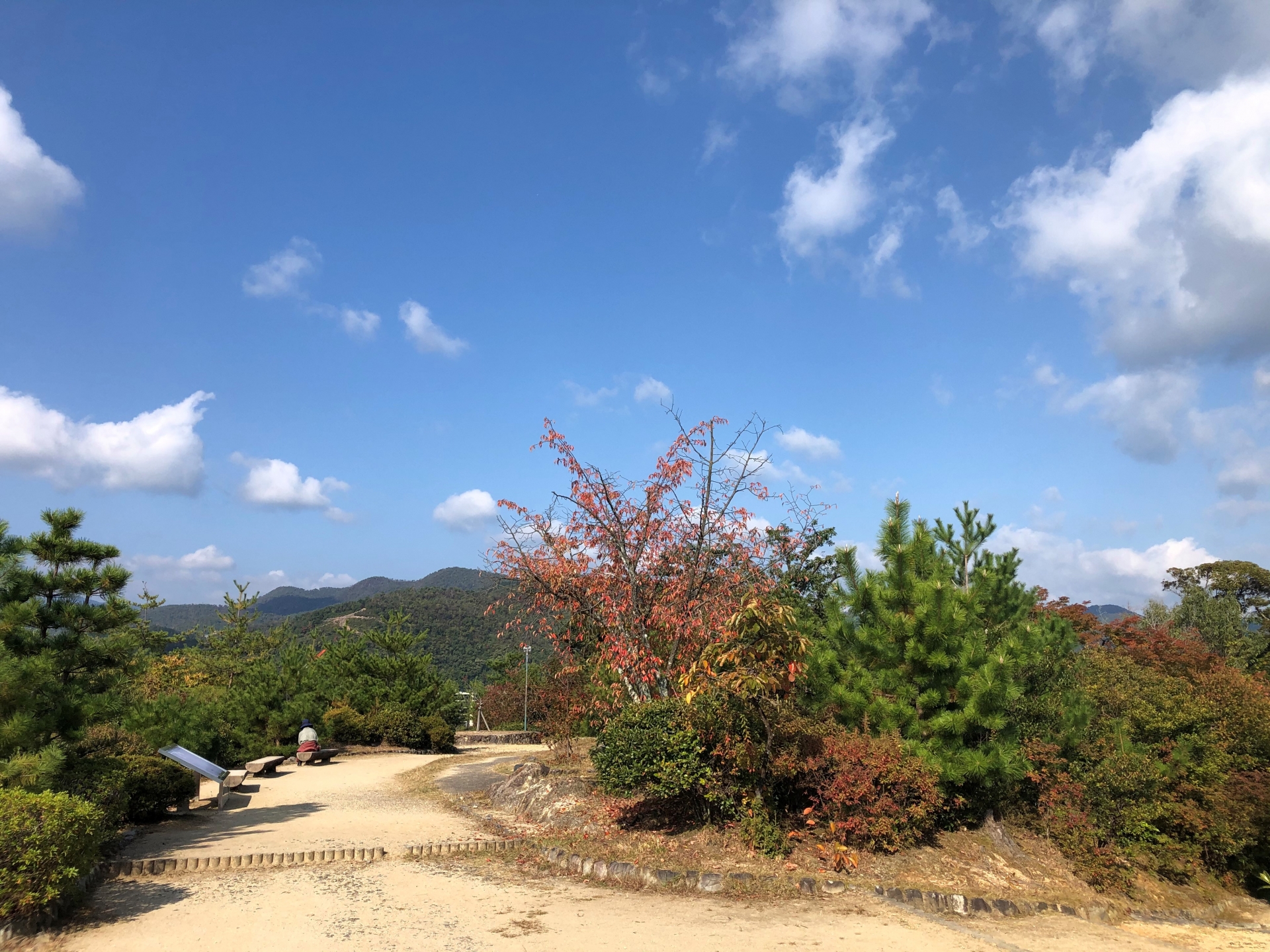 船岡山公園