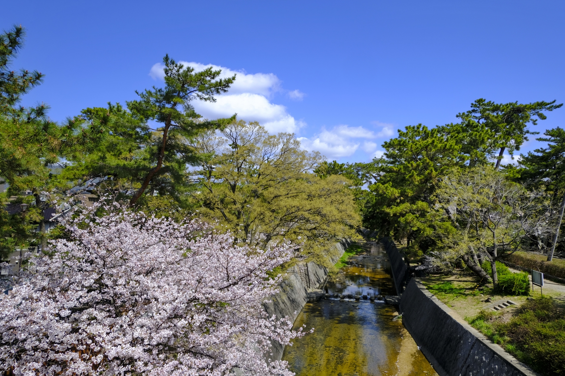 夙川河川敷緑地（夙川公園）_03