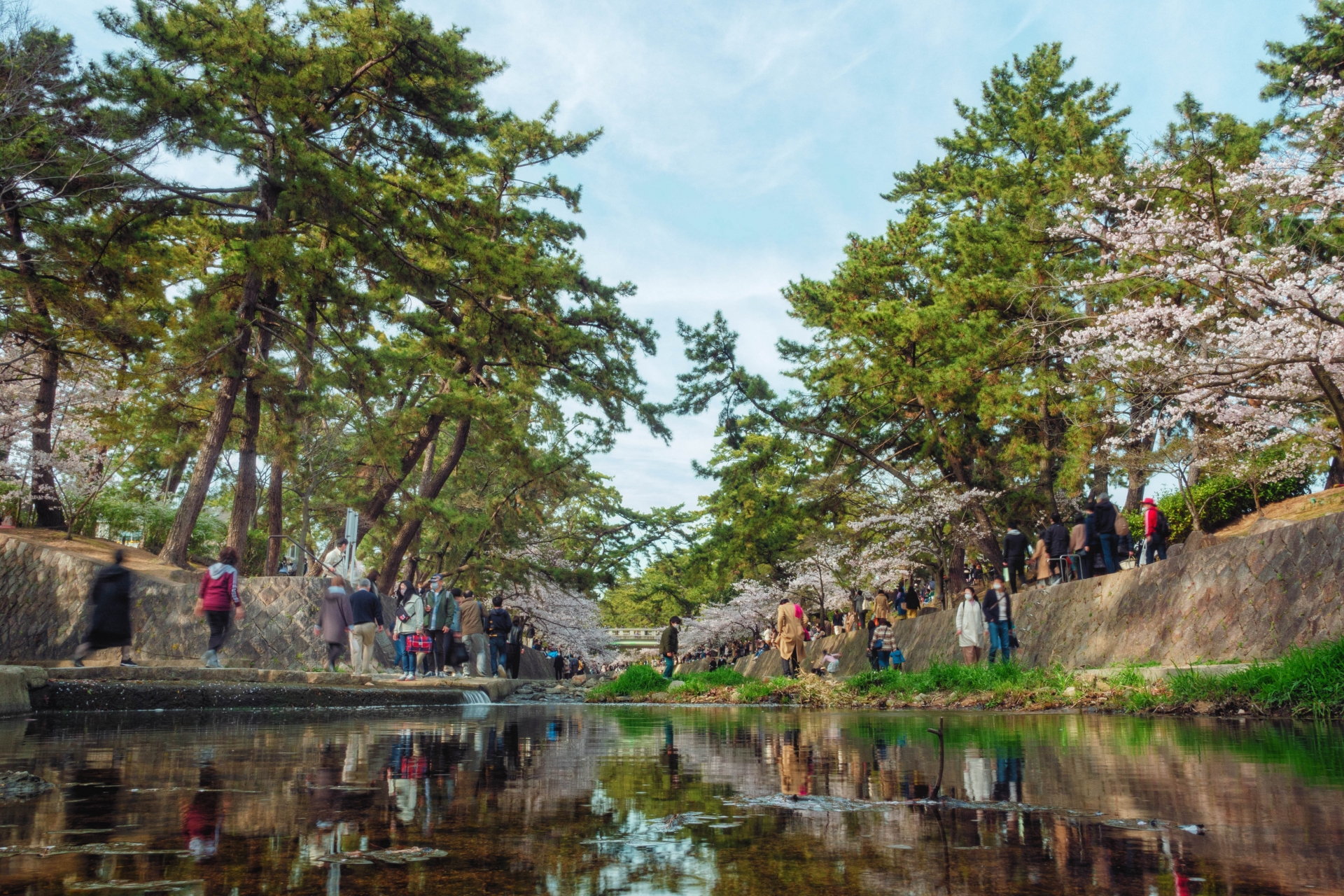 夙川河川敷緑地（夙川公園）_02