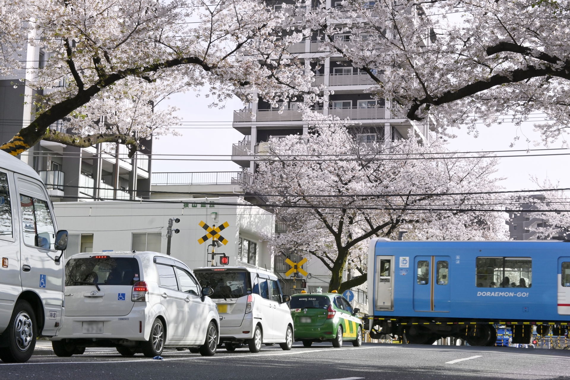 新井薬師駅商店街_02