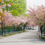 瑞穂ビューパーク競技場